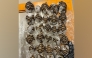 This handout photo taken and released on April 29, 2026 by Thailand's Department of National Parks, Wildlife and Plant Conservation (DNP) shows Indian star tortoises confiscated from a women attempting to travel with them at Suvarnabhumi International Airport in Bangkok. (Photo by Handout / National Park, Wildlife and plant conservation department (DNP) / AFP) / XGTY