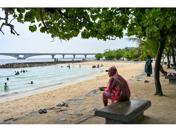A man sits under a tree as it rains at Artificial Beach in Malé on May 15, 2026. Photo by MOHAMED AFRAH / AFP
