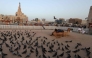 Pigeons stand in the manage allocated for camel rides as the guide waits for customers at Souq Waqif on the eve of the Muslim holiday of Eid al-Adha in Doha on May 26, 2026. Photo by Karim Jaafar / AFP