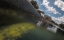 Seen through algae-laden green water, a tear in the recently applied sealant can be seen on the bottom of the Lincoln Memorial Reflecting Pool on June 18, 2026 in Washington, DC. (Photo by Oliver Contreras / AFP)