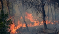 A wildfire rages in a mountainous area near the town of Al Hachimia, Bouira Province, on July 21, 2026. (Photo by AFP)