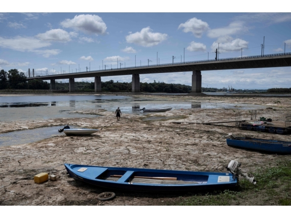 A fisherman tries to move his boat, blocked by algae on the bottom of the Danube river in front of the Calafat-Vidin bridge, connecting Bulgaria and Romania near the village Antimovo, southeastern Bulgaria, on July 22, 2026. (Photo by Nikolay DOYCHINOV / AFP)