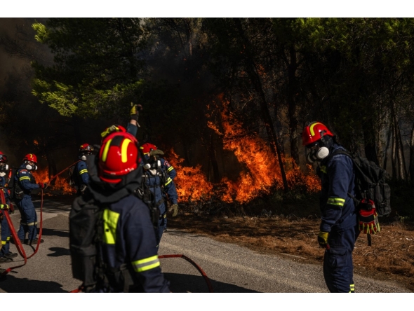 Greek firefighters try to extinguish a wildfire in the area of Porto Germeno, some 70 kilometres (45 miles) northwest of Athens in the region of Viotia, on August 2, 2026. Photo by ANGELOS TZORTZINIS / AFP