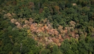 (FILES) This aerial photograph shows water-stressed trees affected by prolonged drought and heatwave above Concise, western Switzerland, on August 4, 2026. 
(Photo by Fabrice COFFRINI / AFP)