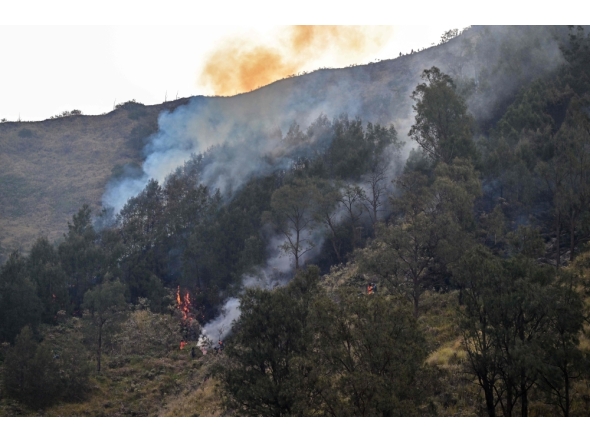 Volunteers battle a wildfire in the Bromo Tengger Semeru National Park near Mount Bromo in Pasuruan, East Java province on August 10, 2026. (Photo by JUNI KRISWANTO / AFP)