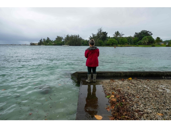 A resident looks at a young green sea turtle as ocean waters started to raise due to the approach of Tropical Storm Lala at Reed's Bay in Hilo, Hawaii on August 14, 2026. (Photo by Jill K. Briggs / AFP)
 