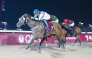 Alberto Sanna steers September Leaves to victory in the Al Ghariyah Cup at Al Rayyan Racecourse yesterday. PIC: Juhaim/QREC
