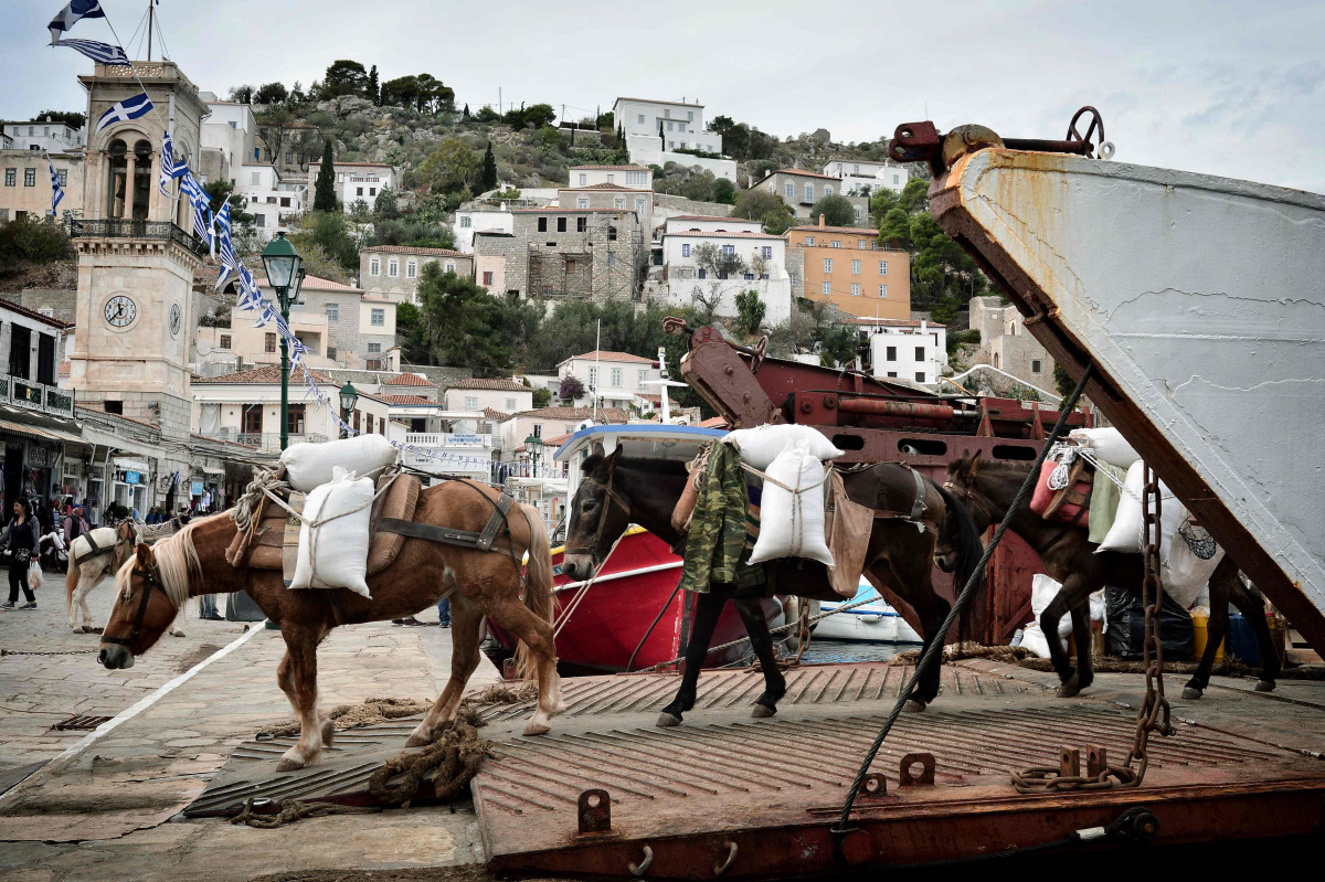 Mules transport goods from commercial ferry on the Greek island of Hydra, where cars are prohibited on November 12, 2016. (AFP / LOUISA GOULIAMAKI) 