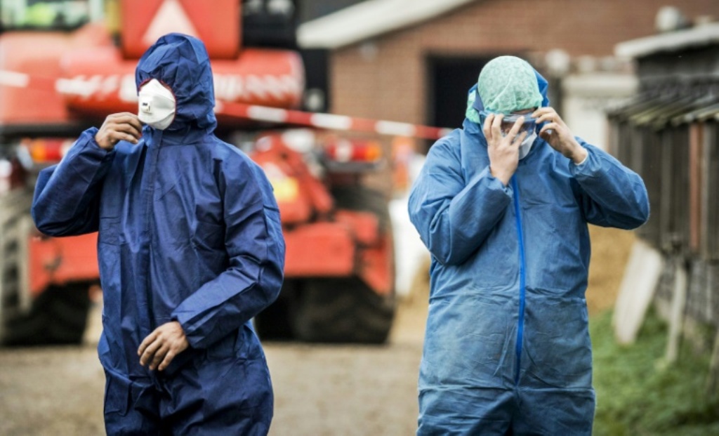 Workers in protective gear get ready to cull ducks as part of prevention measures against bird flu at a duck farm in Hierden, central Netherlands on November 27, 2016 © AFP / Remko de Waal