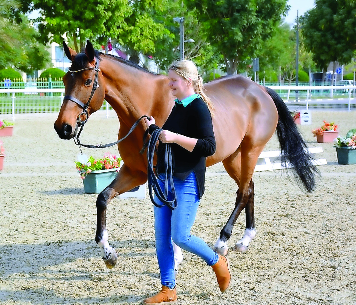 A horse been put through its paces at the Qatar Equestrian Federation's (QEF) Main Arena, yesterday.