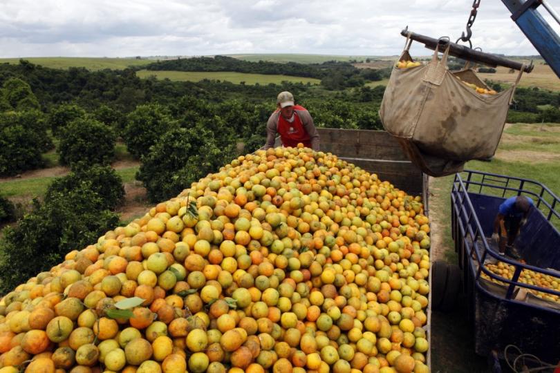 This Reuters' image is used for graphical purpose