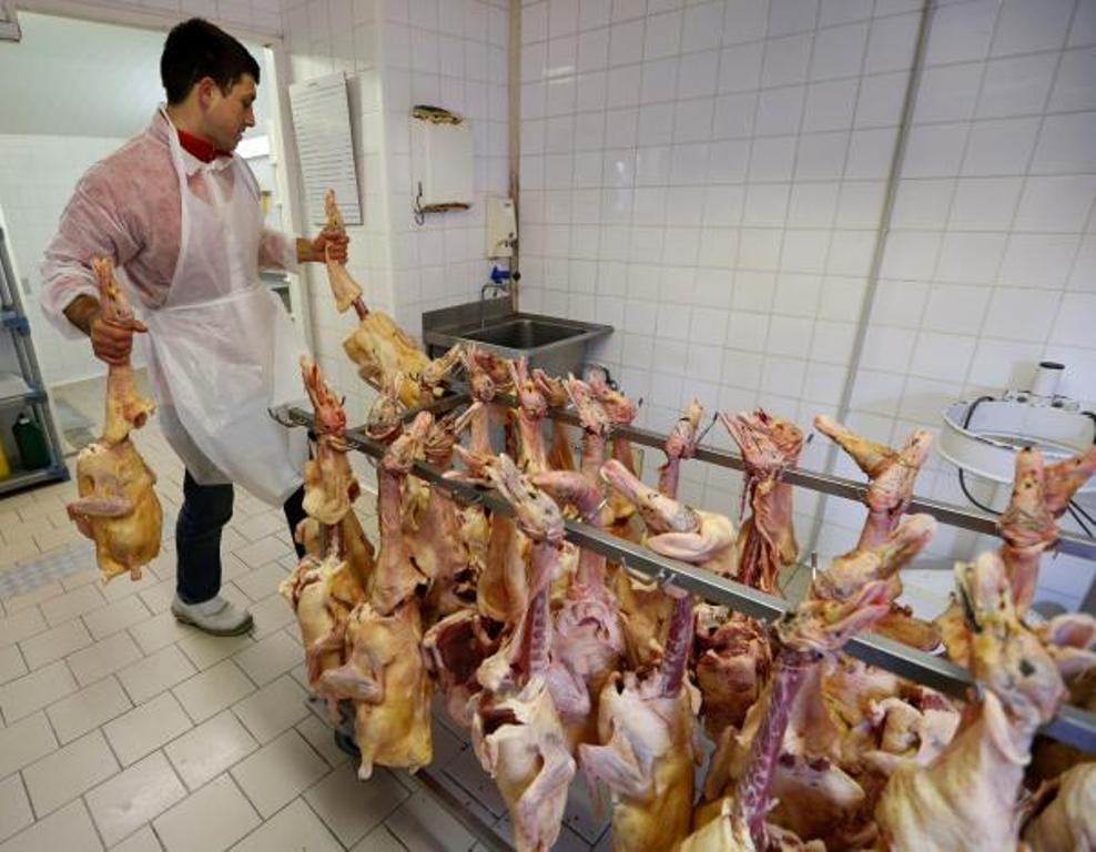 An employee works on a rack of slaughtered ducks at a poultry farm in Eugenie les Bains, France, January 24, 2017, as France scales back preventive slaughtering of ducks to counter bird flu after the culling of 800,000 birds this month helped slow the spr