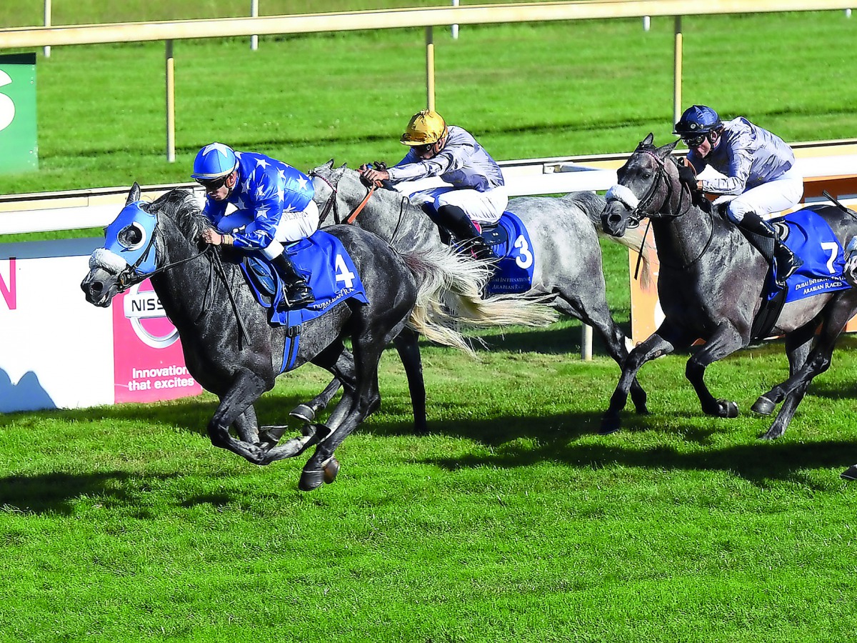 Ebraz (left) extending the lead during the Coup du Sud-Ouest des pur-sang Arabes (Gr2 PA) at La Teste-de-Buch, in France on Tuesday.