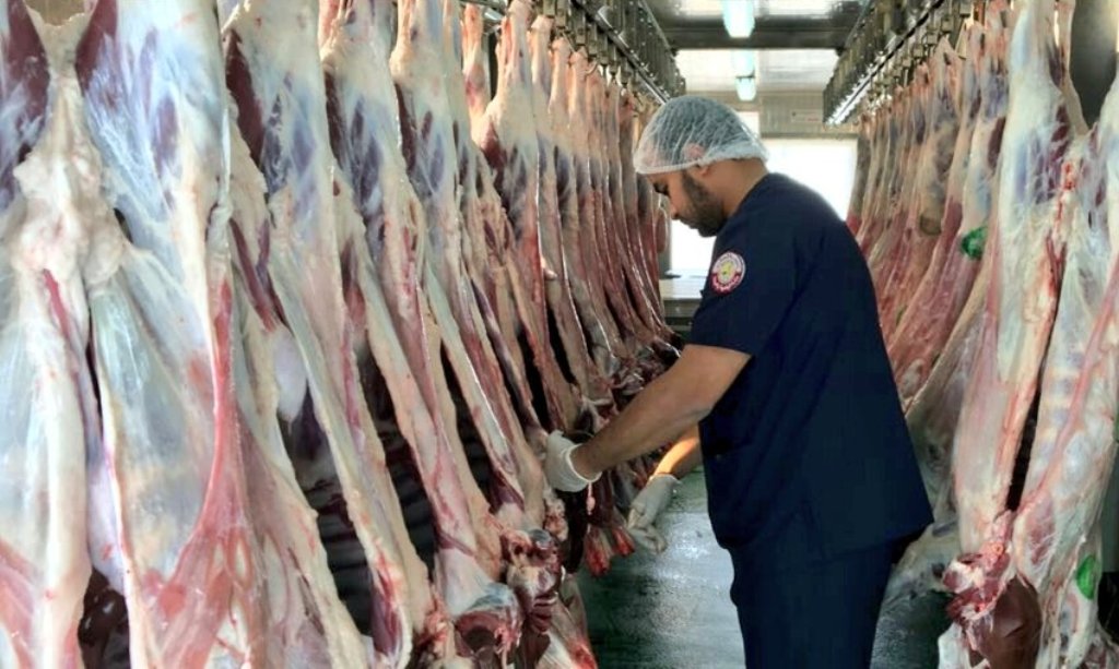 Photo for representation only.