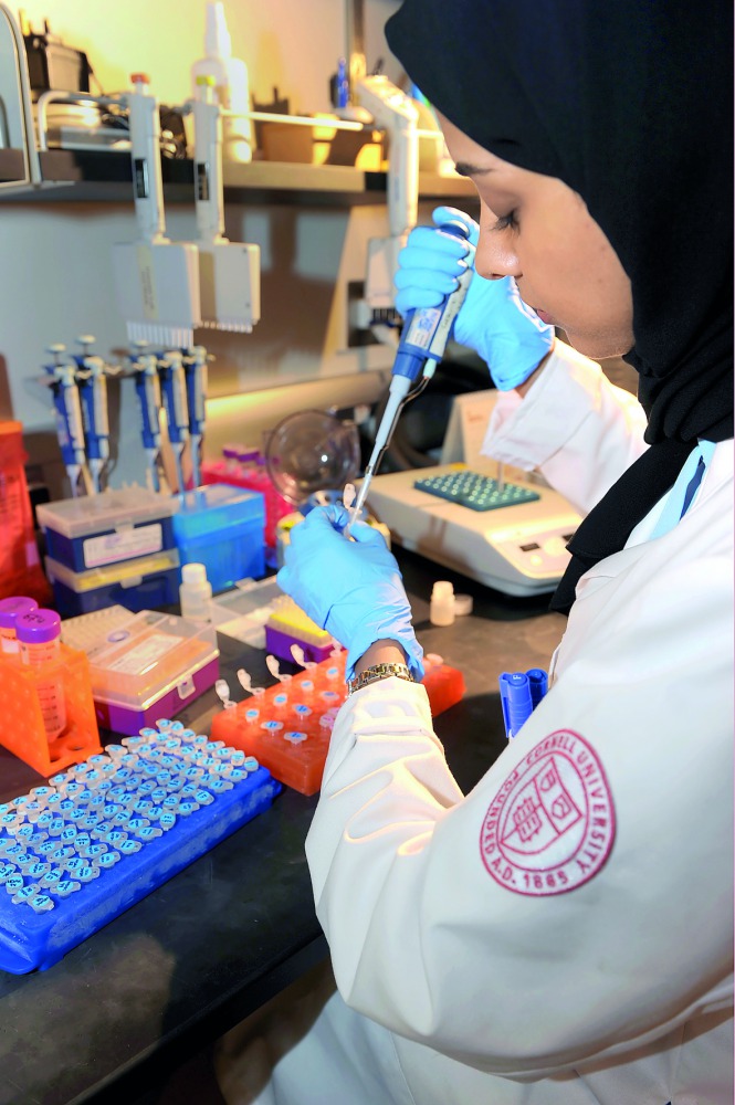 Interested applicants can contact the research training team for more information at brtp@qatar-med.cornell.edu.