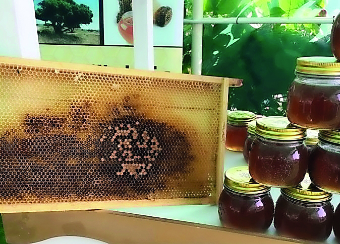 Locally produced honey at a farm in Qatar. 