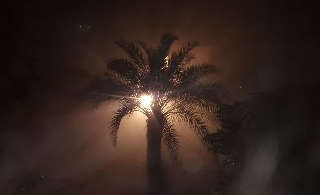 As fog waves envelop #Qatar, here's a picture from Khraytiyat clicked at 1:30 am. Photo by Fatima Dabbouss

