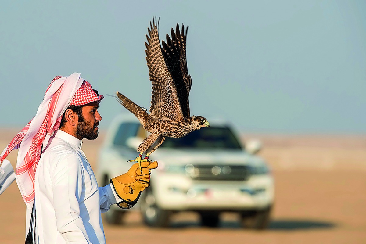 A participant on the first day of the 9th Qatar International Falcons and Hunting Festival, yesterday. 