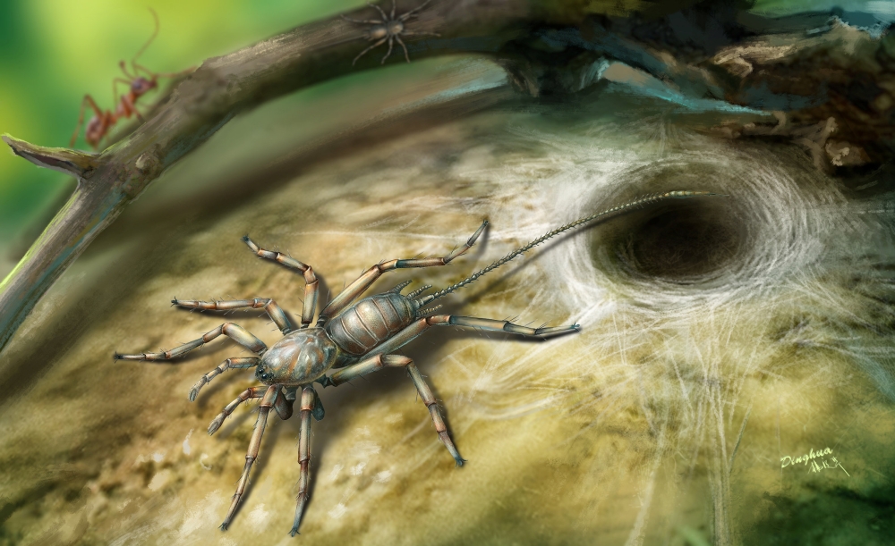 A Cretaceous arachnid Chimerarachne yingi, found trapped in a 100 million-year-old amber from Myanmar, appears in a handout illustration provided on February 5, 2018. Illustration by Dinghua Yang/University of Kansas/Handout via REUTERS A