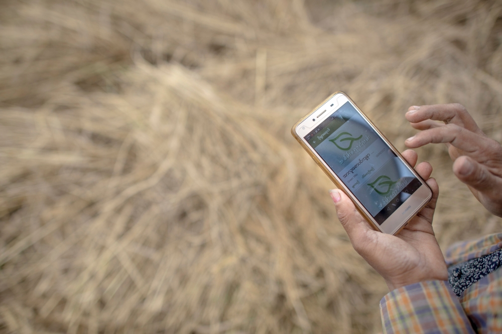This photo taken on December 27, 2017 shows a farmer using a mobile app while working in a rice field on the outskirts of Yangon. AFP / YE AUNG THU 
 