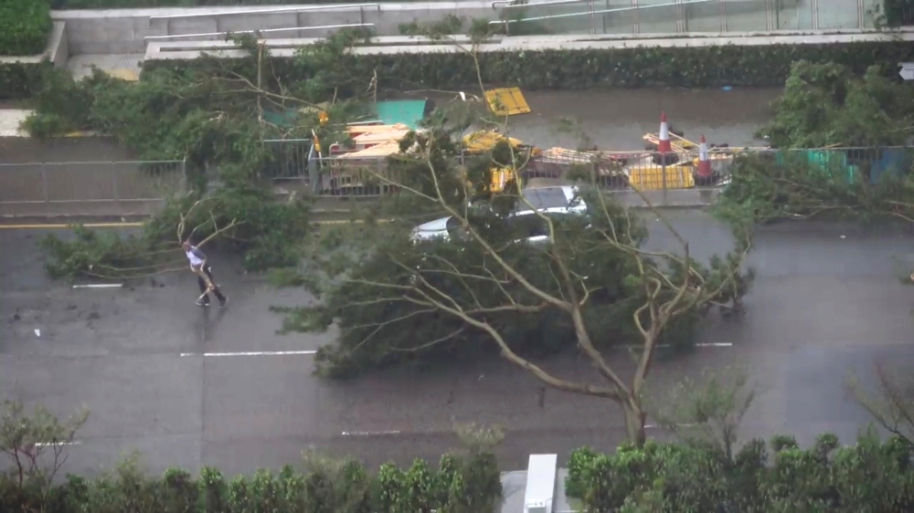 A driver removes a fallen tree during Typhoon Mangkhut in Hong Kong, China September 16, 2018 in this still image obtained from a social media video. INSTAGRAM/ @pcmarriott 