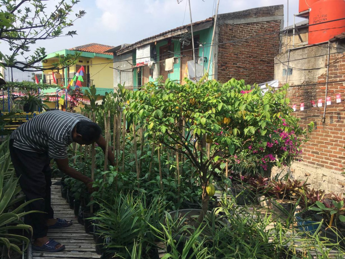 An urban farmer at work in a sub-district of Bandung city, Indonesia, August 23, 2018. Thomson Reuters Foundation/Michael Taylor