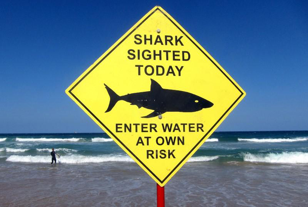 File photo of a sign declaring a shark sighting on Sydney's Manly Beach, Australia, November 24, 2015, used for representaion. REUTERS/David Gray/File Photo 
