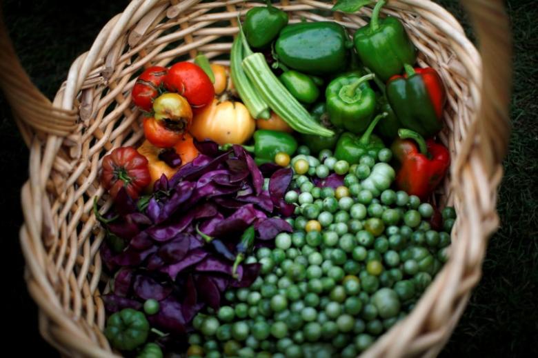 Freshly harvested vegetables are shown in a basket after they were picked during the fall harvest of the White House Kitchen Garden at the White House, October 20, 2010. Reuters/Jason Reed