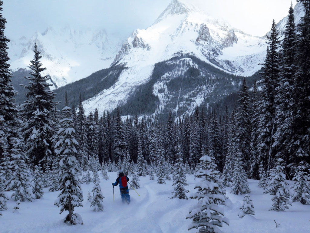 Christian Gangsted-Rasmussen navigates a gentle glade during a day of heli skiing in the Purcell Mountains of British Columbia. The Washington Post / John Briley