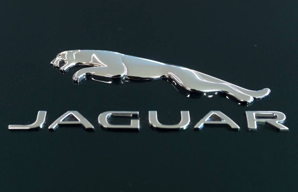 FILE PHOTO: A Jaguar logo is seen on a 2019 Jaguar F-Type sports car at a Jaguar dealership in Manhattan in New York City, New York, U.S., December 10, 2018. REUTERS/Mike Segar/File Photo