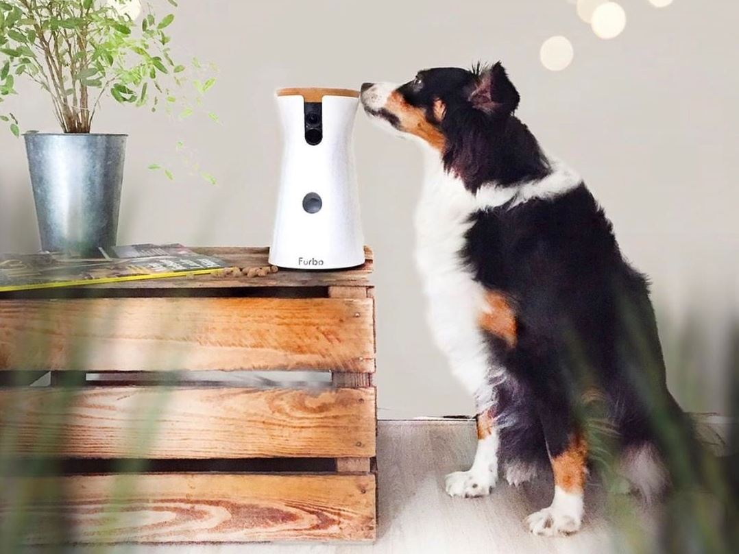 Furbo allows you to store treats inside and allows the user to hit a button on their phone to toss the treat. Pic: Instagram