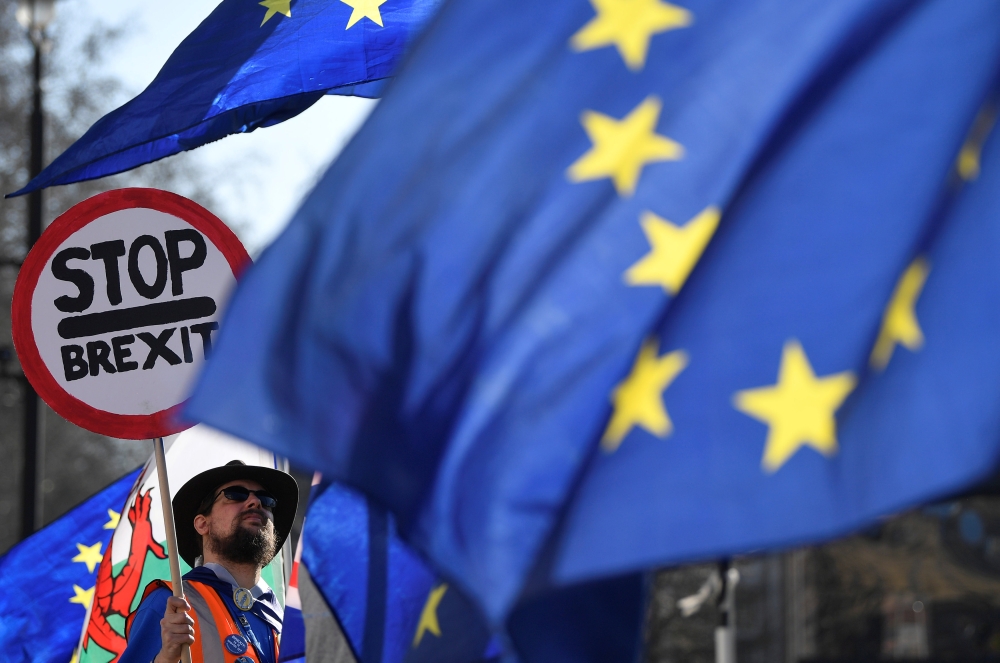 An anti-Brexit protester stands opposite the Houses of Parliament in London, Britain, February 26, 2019. REUTERS/Toby Melville	