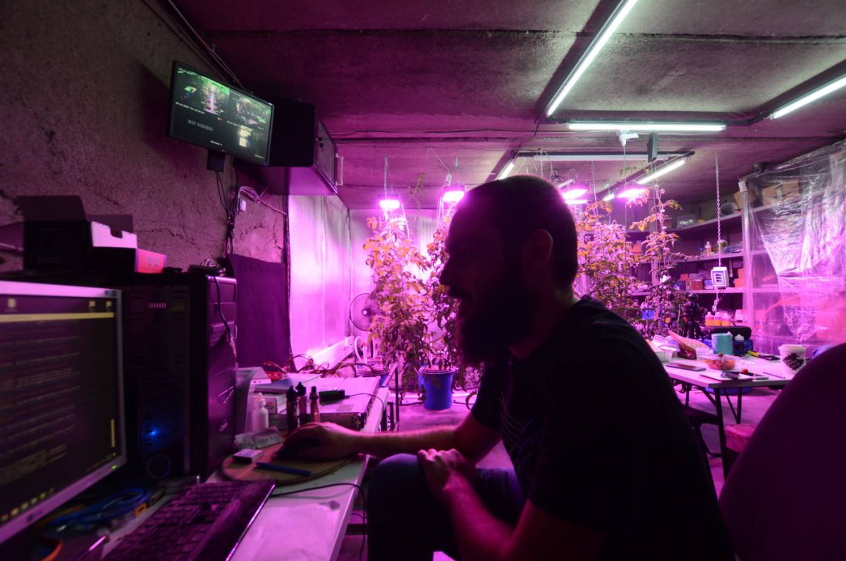 Georgian entrepreneur Shota Siradze works at a computer mining cryptocurrency inside a basement turned urban farm in Tbilisi, Georgia on March 12, 2019. Thomson Reuters Foundation/Umberto Bacchi