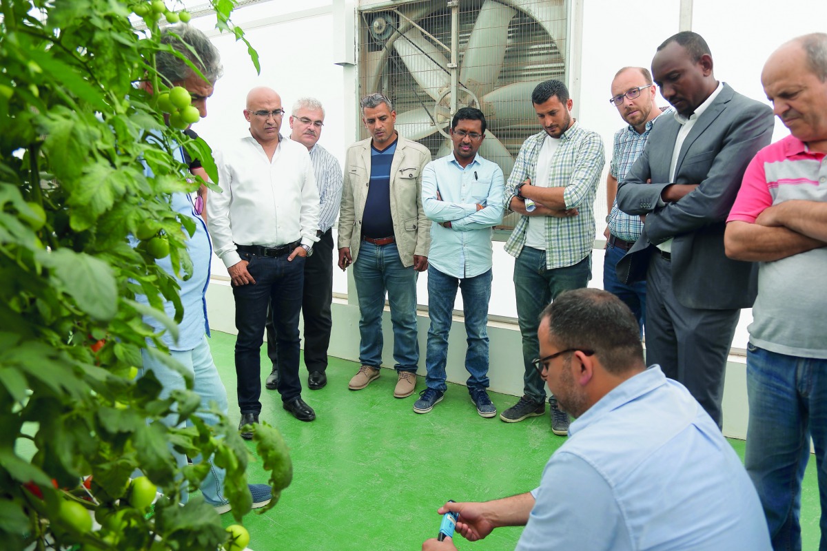 The participants at the workshop organised by Qafco, Agrico, and Yara International ASA at the Hydroponic Trial and Demonstration Center in Al Khor, recently. 