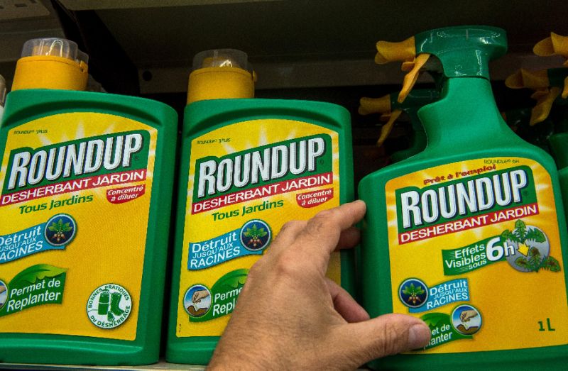 Glyphosate was first used in the 1970s as the active ingredient in the Monsanto herbicide Roundup and is now made generically around the world. (AFP/Philippe Huguen) 