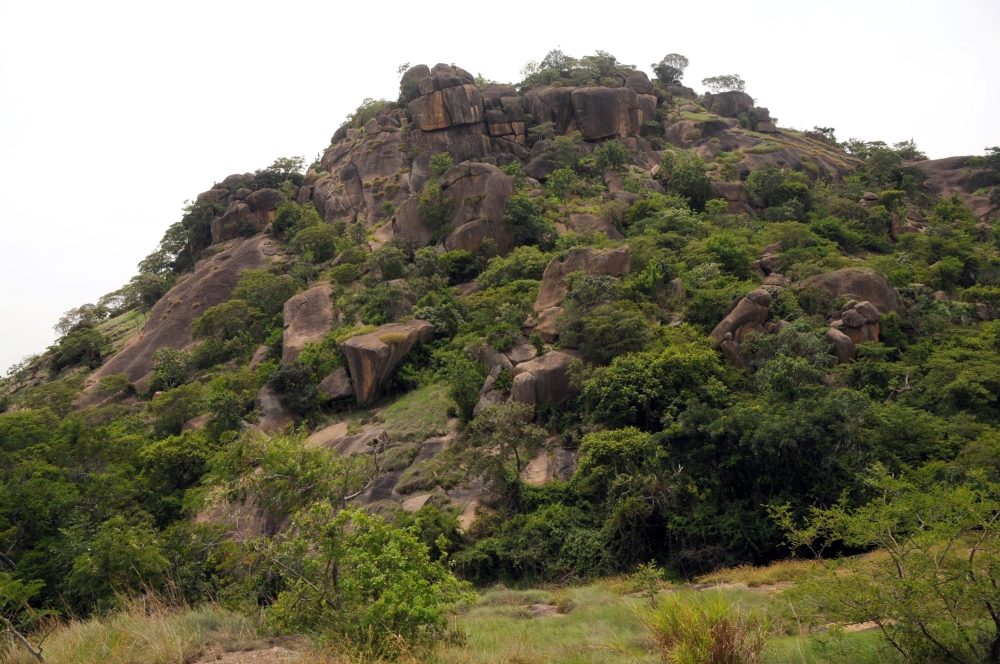 The Amurum Forest Reserve where undulating rock formations surround a savannah dominated by lush and tall grass in Jos Plateau State, Nigeria, on June 5, 2014. AFP