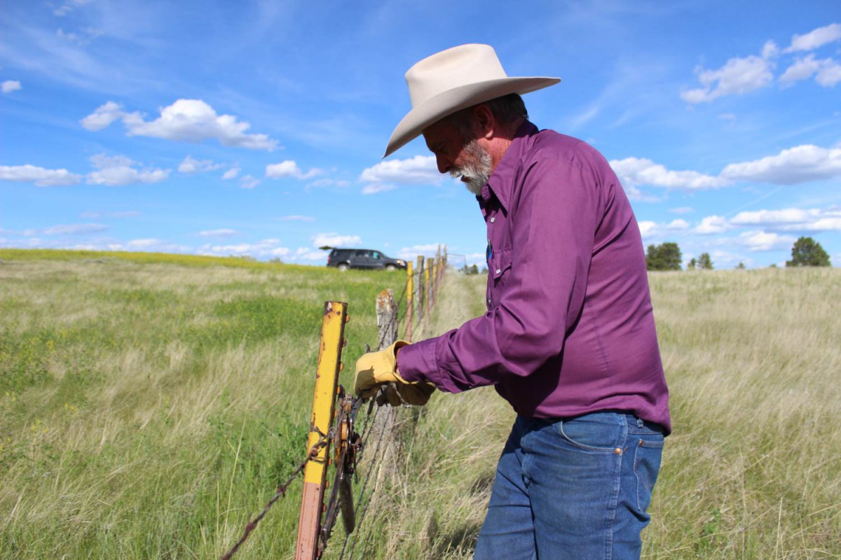 K.C. Weingart fixes a barbed wire fence on his ranch in Petroleum, County in northeastern Montana, USA on June 13, 2019. Thomson Reuters Foundation/Gregory Scruggs