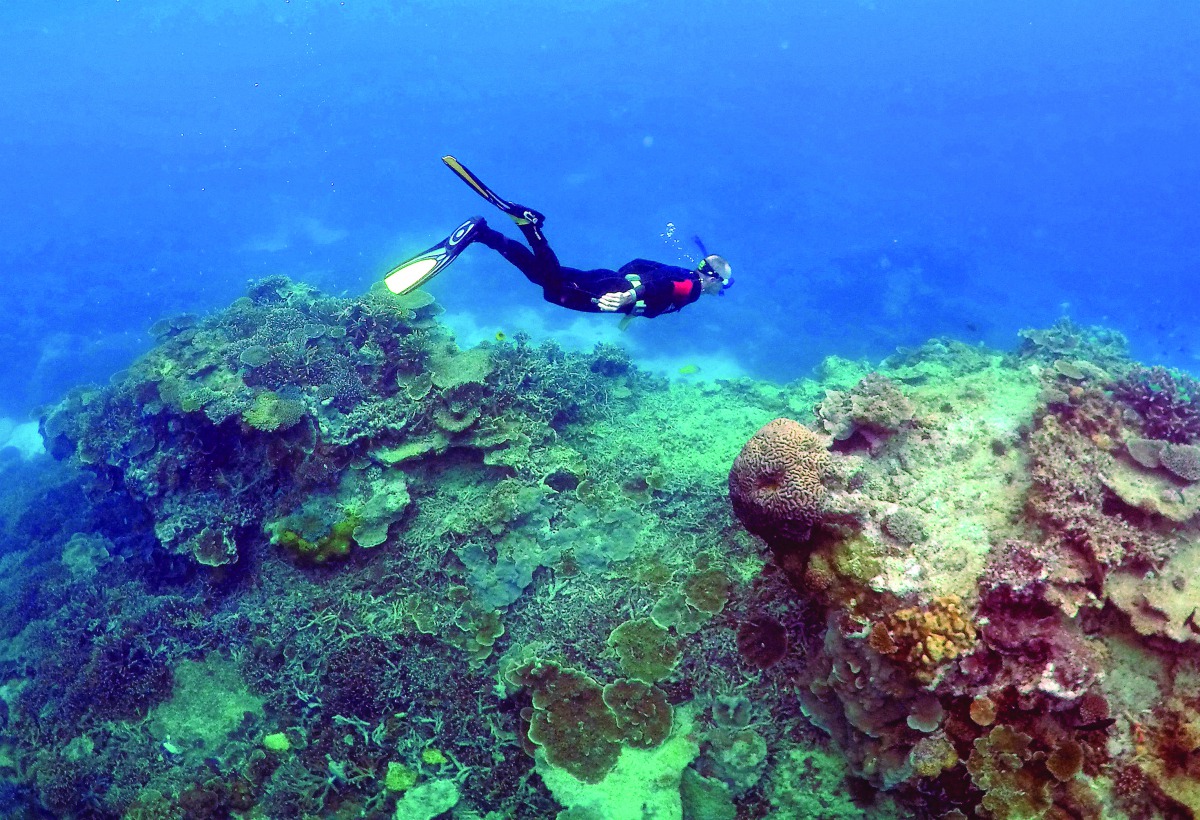 A man snorkels in an area called the 