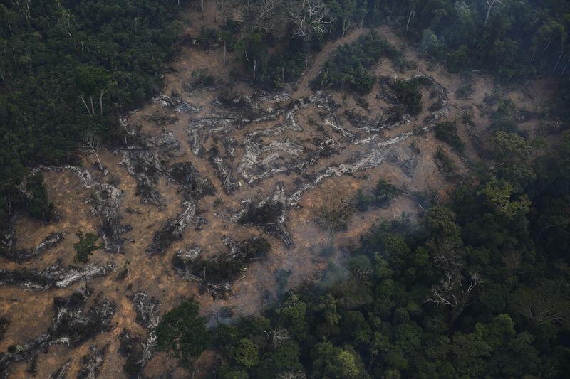 An aerial view of a deforested plot of the Amazon at the Bom Futuro National Forest in Porto Velho, Rondonia State, Brazil, September 3, 2015. Reuters / Nacho Doce