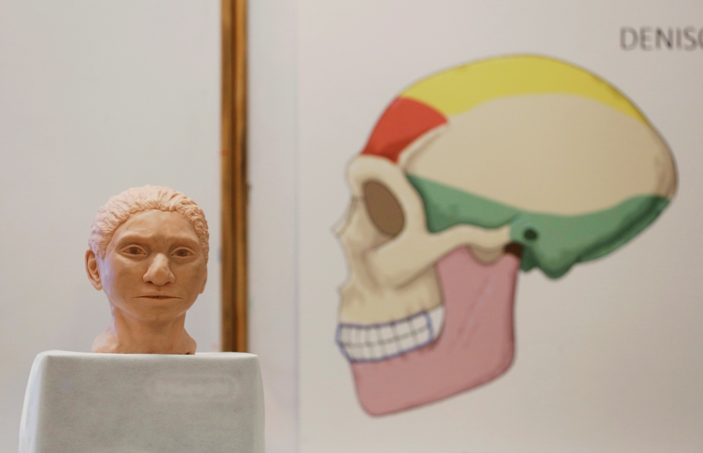 The artistic rendering of the head and face of a 13-year-old girl from the the prehistoric human species, Denisovan, based on technology developed by Hebrew University professor Liran Carmel and his team, is revealed at a news conference in Jerusalem Sept