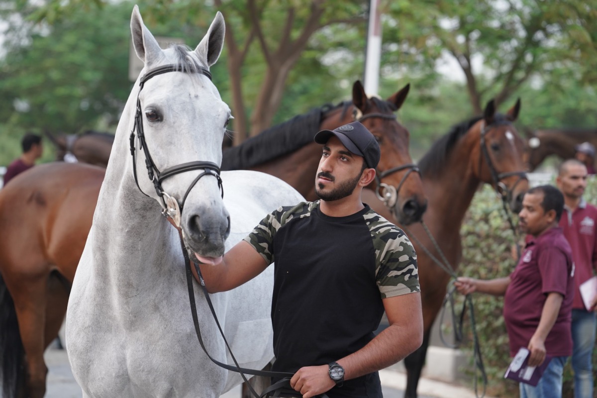Riders are seen with their horses at the vet check ahead of the first round of 2019 Longines Hathab Qatar Equestrian Tour which kicks off today.