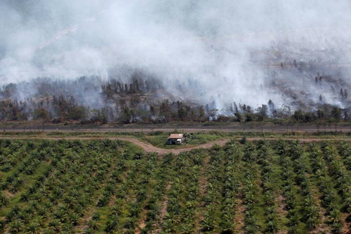 A wooden house is pictured at a palm oil plantation as smoke covers trees due to forest fires near Banjarmasin in South Kalimantan province, Indonesia, September 29, 2019. Reuters/Willy Kurniawan
