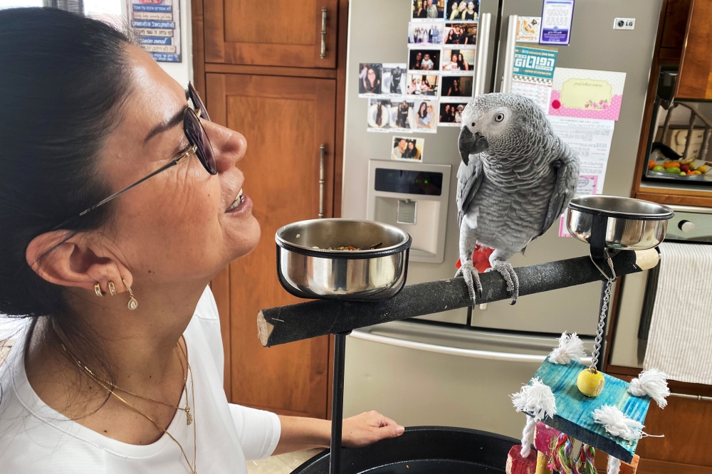 Luca, a parrot that has learnt to mimic and say the words, 