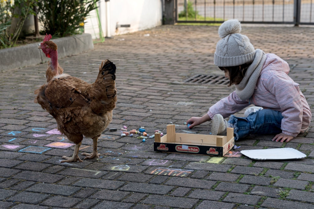Representative image:  Two-year-old Bianca Toniolo plays with multi-coloured chalk in the courtyard with the family's new chicken 