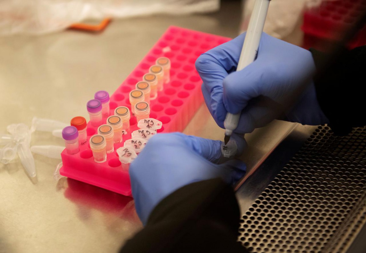 FILE PHOTO: Researchers at the Microbiology Research Facility work with coronavirus samples as a trial begins to see whether malaria treatment hydroxychloroquine can prevent or reduce the severity of the coronavirus disease (COVID-19), at the University o