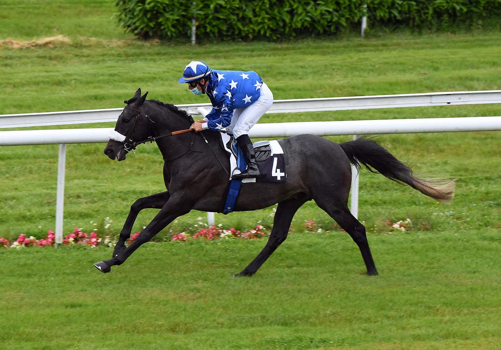 Picture from official twitter account of QREC. Photo: R. Polin