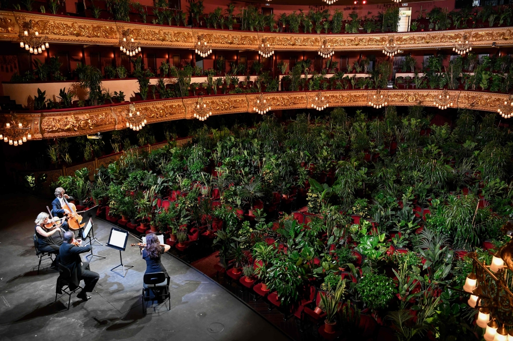 The Uceli Quartet perform for an audience made of plants during a concert created by Spanish artist Eugenio Ampudia and that will be later streamed to mark the reopening of the Liceu Grand Theatre in Barcelona on June 22, 2020 following a national lockdow