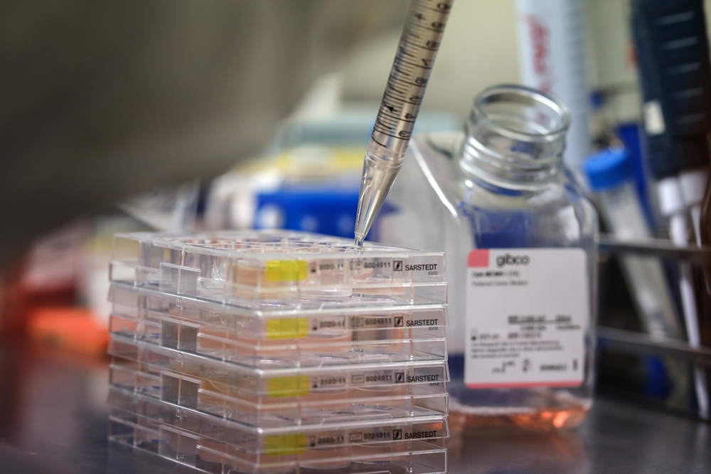 A scientist works on cells that produce antibodies against the coronavirus disease (COVID-19), in a university lab July 8, 2020. Picture taken July 8, 2020. REUTERS/Alkis Konstantinidis