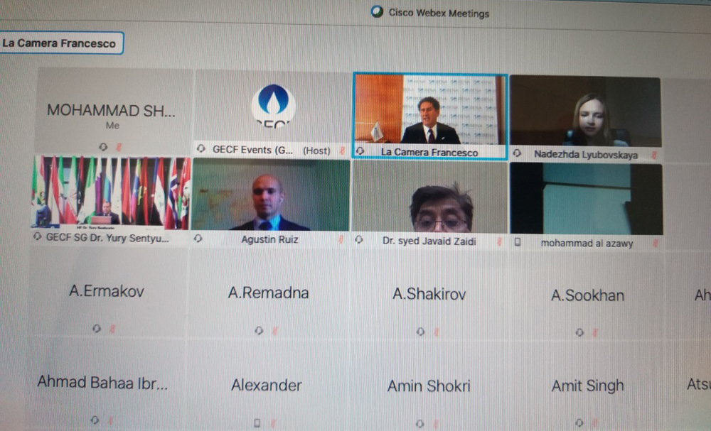 A screengrab of Director-General of the International Renewable Energy Agency (IRENA), Francesco La Camera (top second right); GECF Secretary-General Dr. Yury Sentyurin (second row left) and other participants  at the Monthly Gas Lecture Series on ‘The En