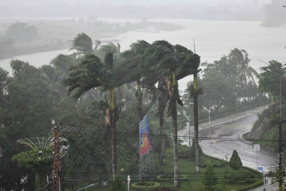 Strong winds batter coconut trees in central Vietnam's Quang Ngai province on October 28, 2020 as Typhoon Molave makes landfall. / AFP / MANAN VATSYAYANA